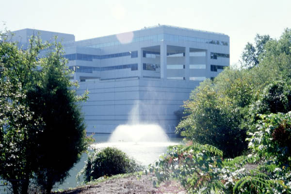 imm031-1