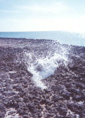 aruba04