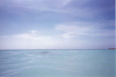 aruba01