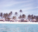 aruba02