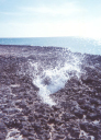 aruba04